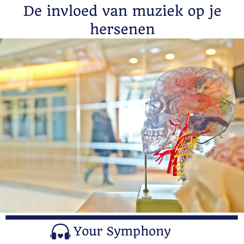 De Invloed Van Muziek Op Je Hersenen - Your Symphony